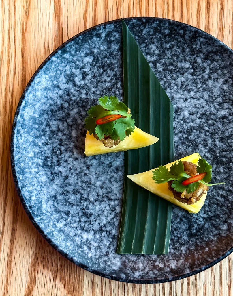 Two savory fruit appetizers garnished with cilantro on a decorative plate.