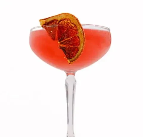 Reddish-pink cocktail in a coupe glass with a dried citrus garnish.