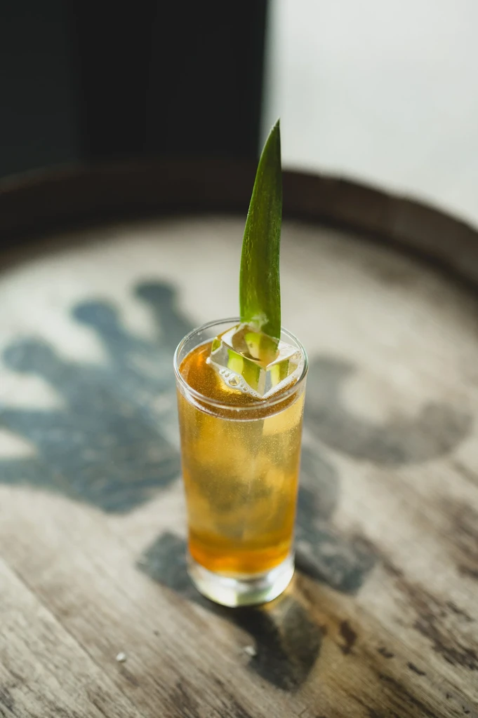 Glass of amber iced drink with green leaf garnish on wood.