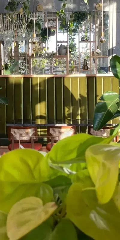 Botanical-themed restaurant interior with olive-green banquette, rattan chairs, and potted plants.
