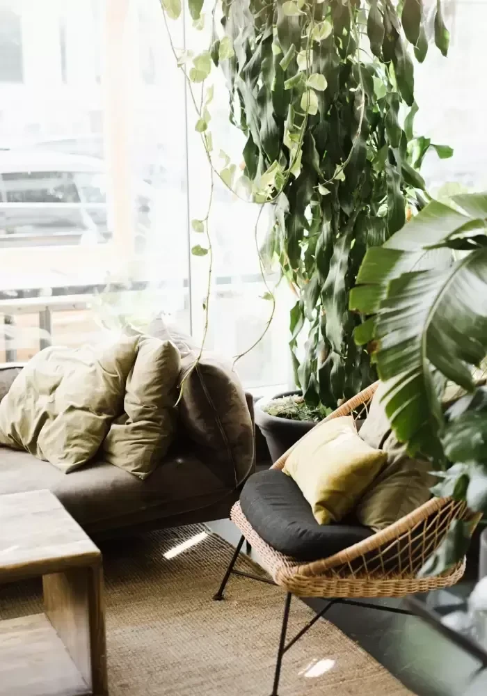 Verdant interior with sofa, rattan chair, and lush trailing plants.