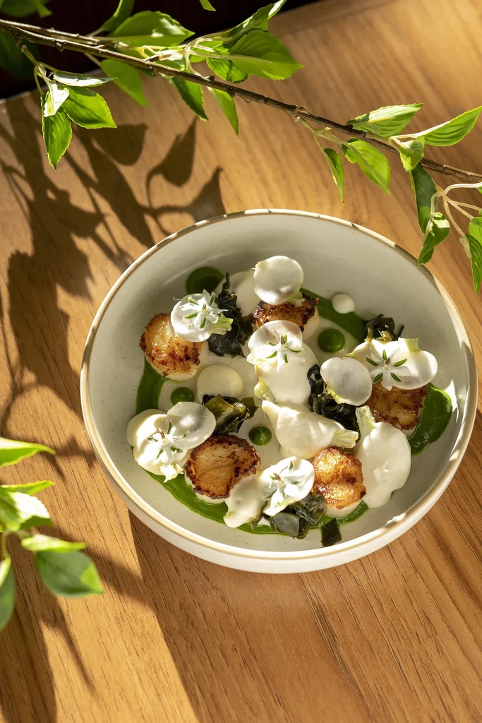Plated seared scallops with green sauce and white flowers in rustic bowl.