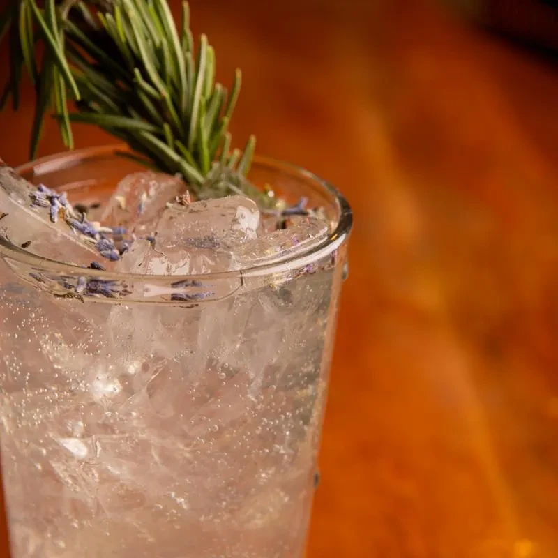 Clear effervescent drink in tall glass with ice, rosemary, and lavender.