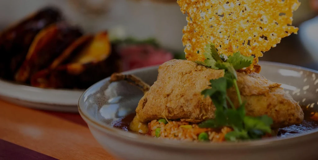 Golden-brown breaded food on colorful rice with dark sauce, cilantro, crisp.