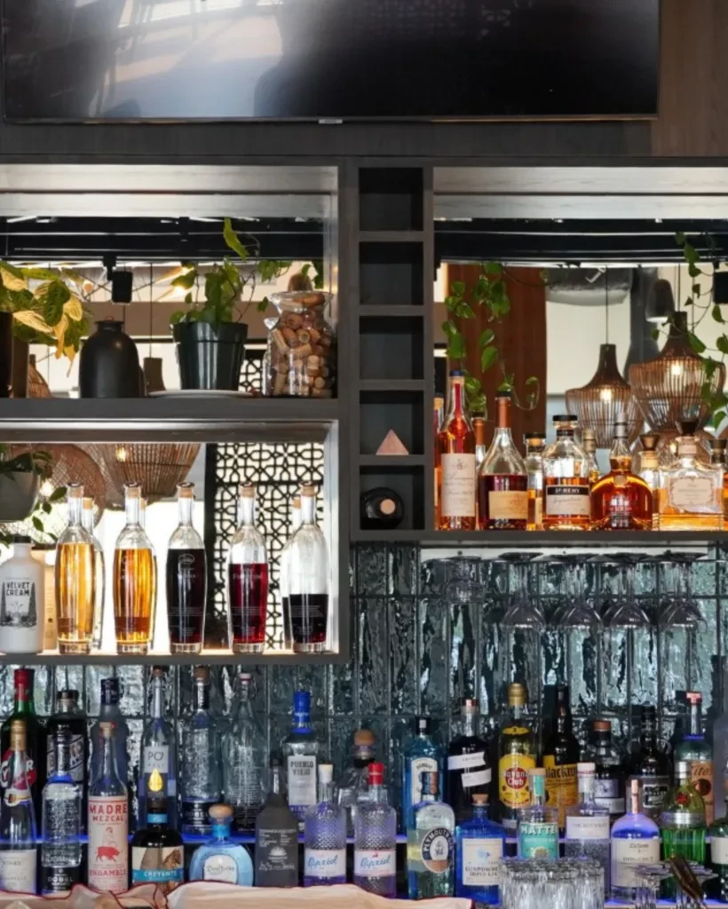 Well-stocked bar shelves display various liquor bottles, plants, and hanging glasses.