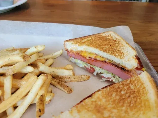 Close-up: toasted processed meat and cheese sandwich with fries.