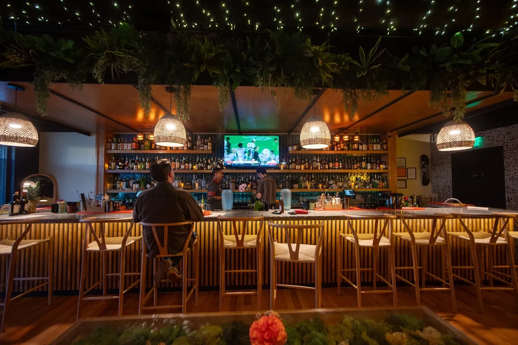 Restaurant bar with spirits, hanging plants, rattan lights, and TV.
