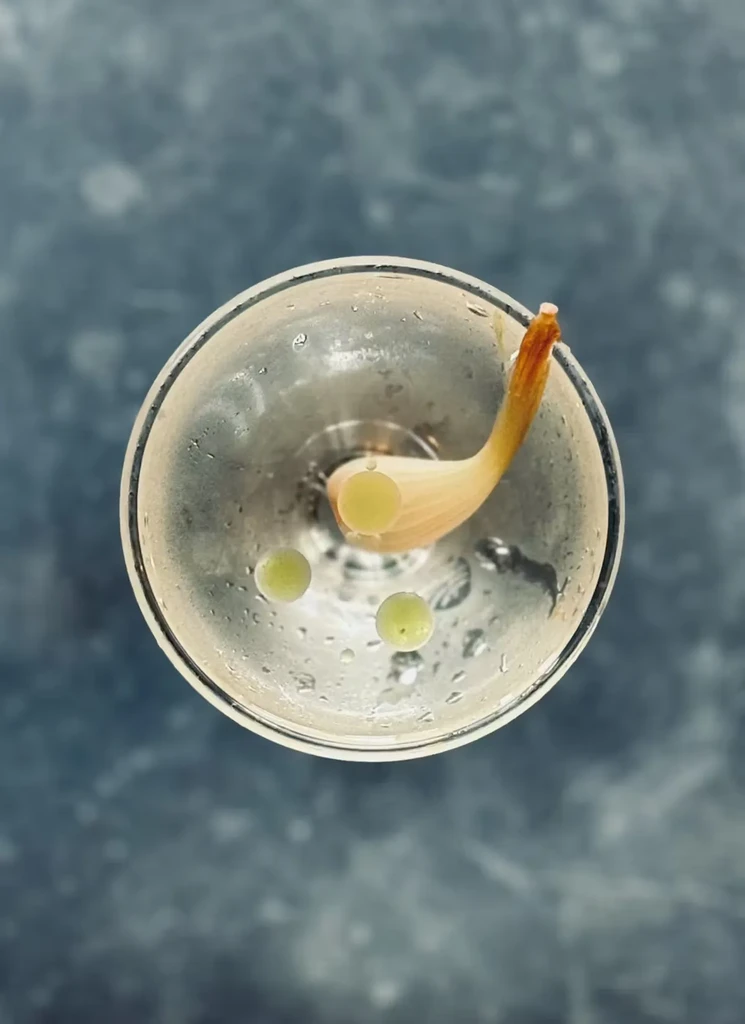 Overhead view of martini glass with a scallion and two grapes.