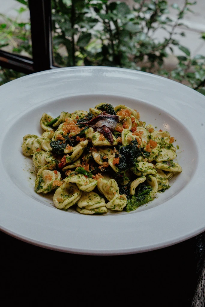Orecchiette pasta with greens, breadcrumbs, and anchovies in a white bowl.