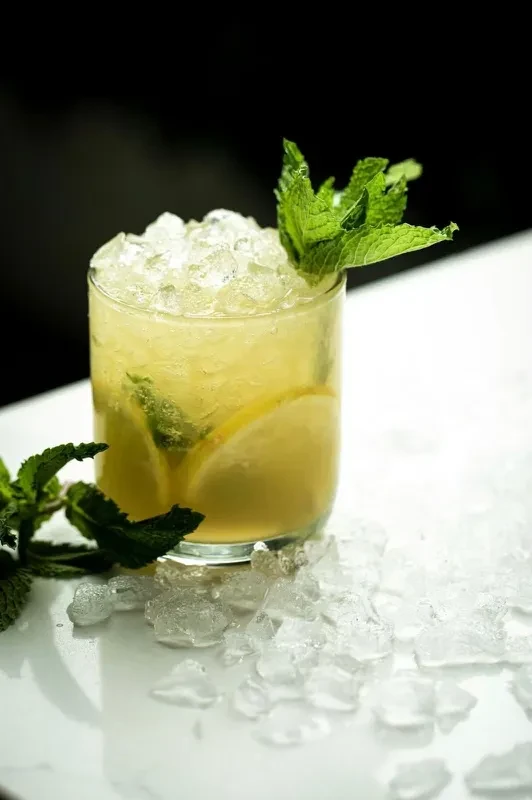 A glass of lemonade with crushed ice, mint, and lemon slices.