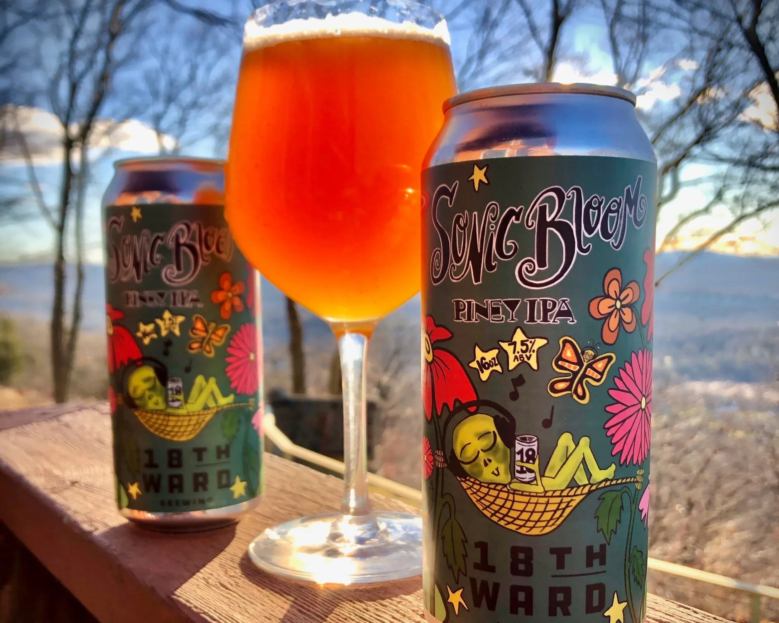 Two "Sonic Bloom" beer cans and a glass of beer on a wooden railing.