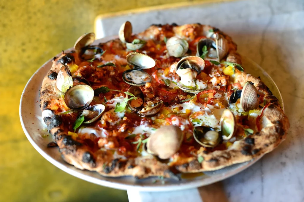 Pizza with opened clams, red sauce, and herbs on a white plate.
