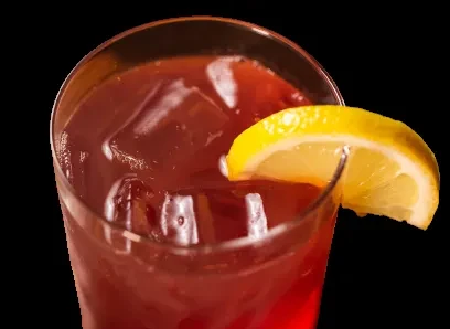 A glass of dark red liquid with ice cubes and a lemon slice.