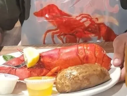 A person wearing a lobster bib eats a lobster with a baked potato.