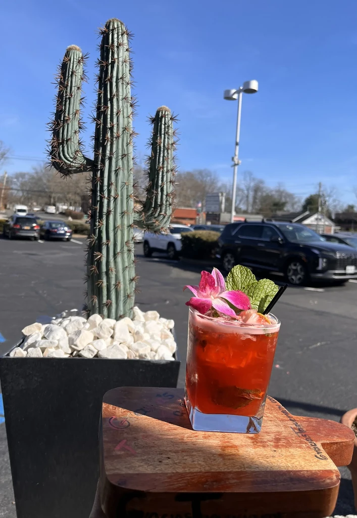 A red cocktail with orchids and mint sits next to a potted cactus.
