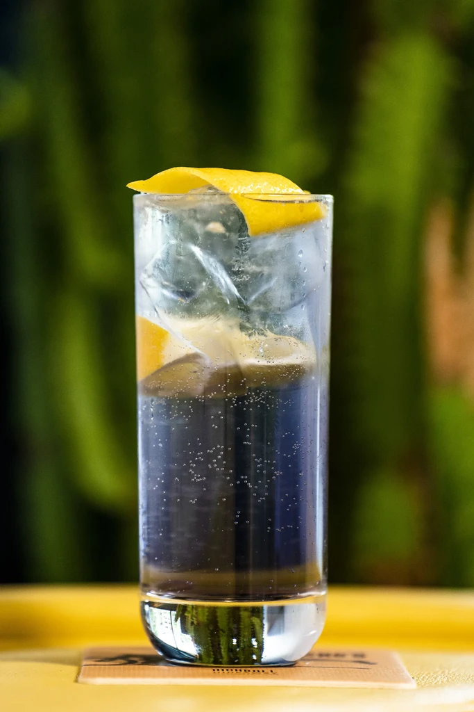Close-up of dark, effervescent drink with lemon and ice.