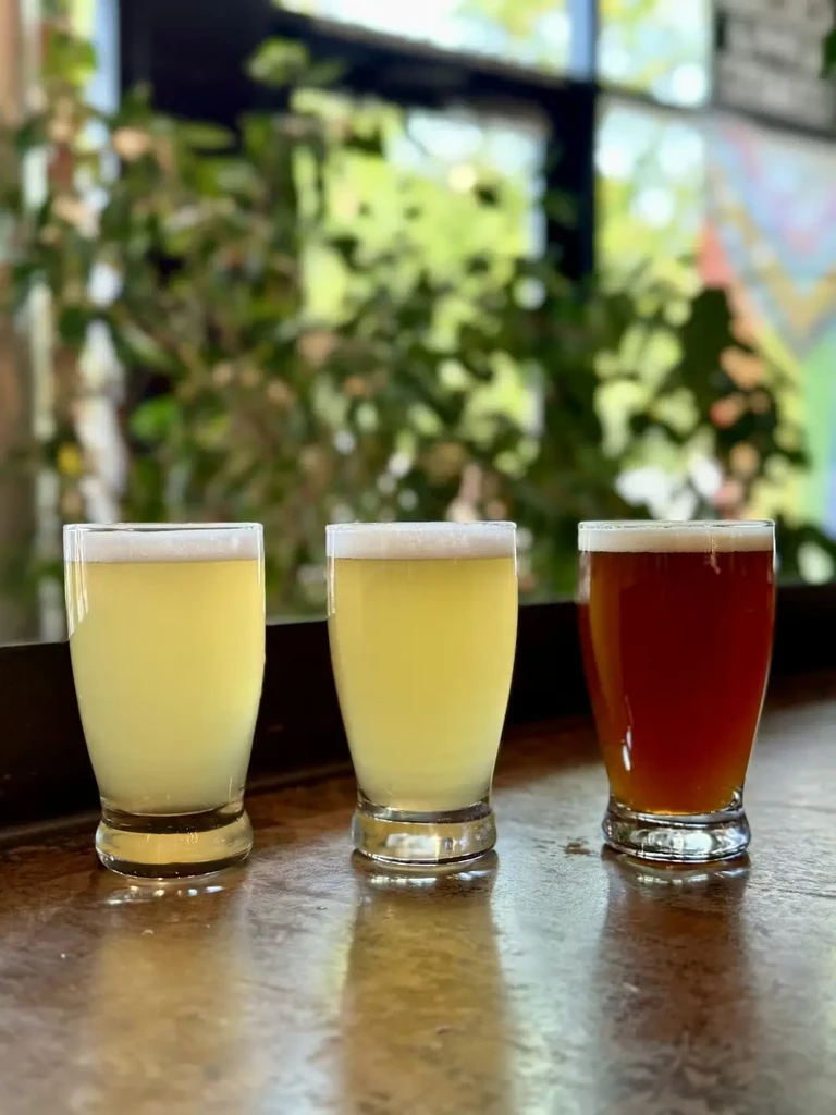 Three glasses of amber and yellow drinks on a counter with foliage.