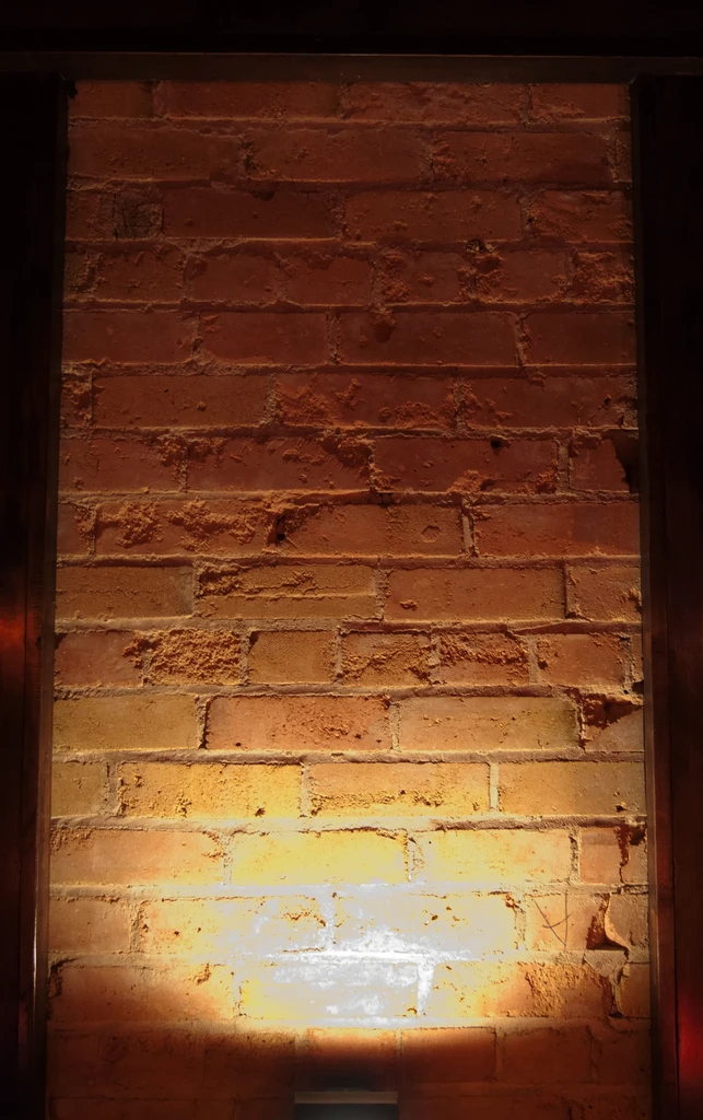 Aged reddish-brown brick wall, vertically framed, with warm upward light.