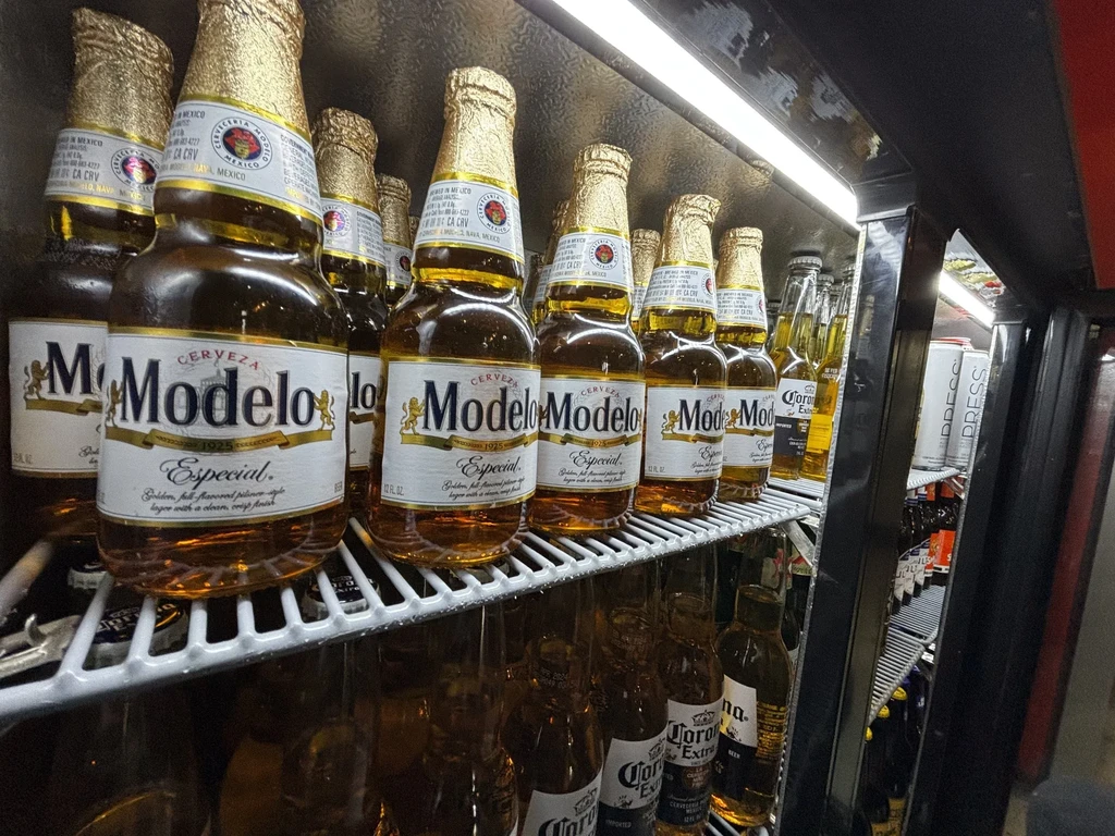 Well-stocked commercial cooler with rows of Modelo Especial beer.