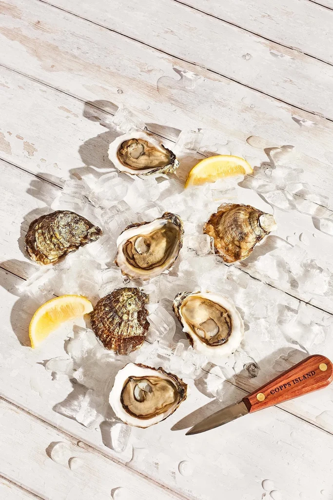 Seven opened and closed oysters on ice with lemon wedges and a knife.