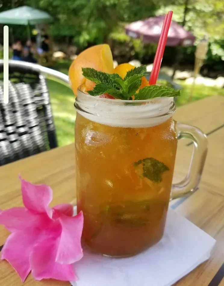 Reddish-orange drink in mason jar with ice, orange, mint, outdoors.