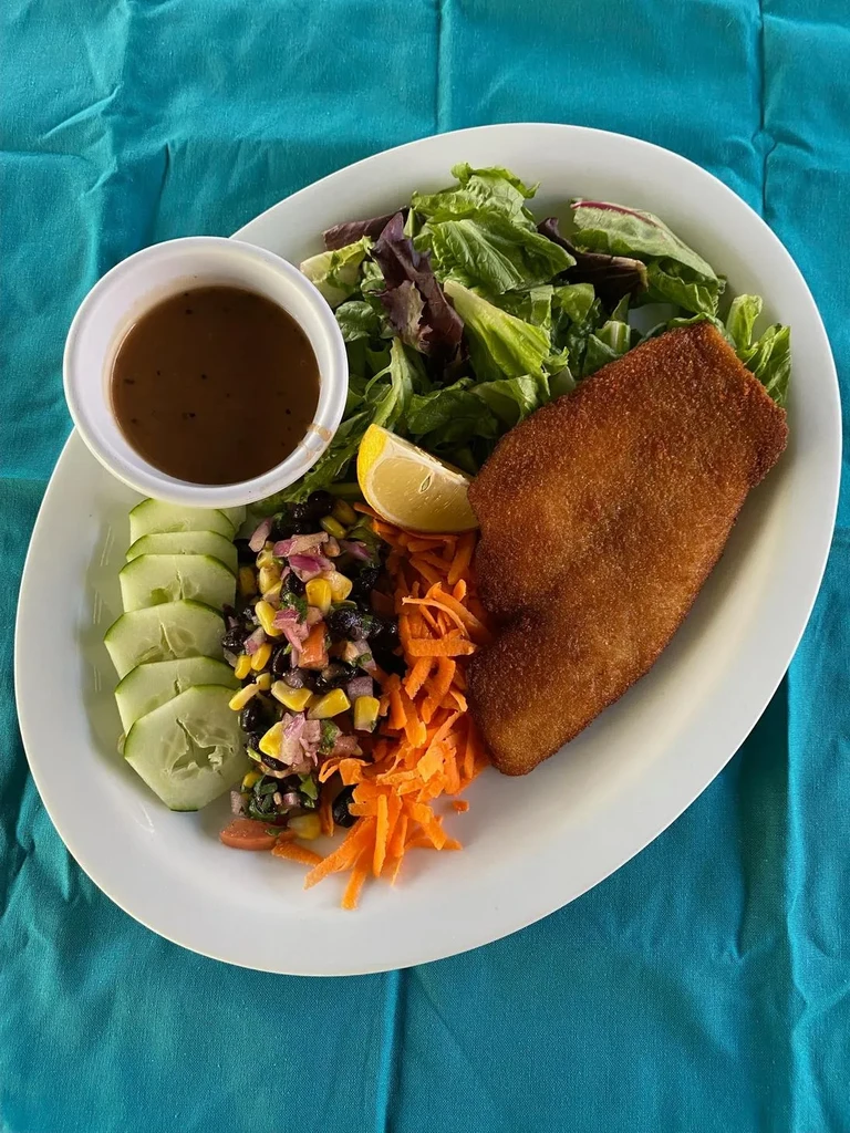 Fried cutlet, salad, carrots, salsa, and cucumbers on a plate.