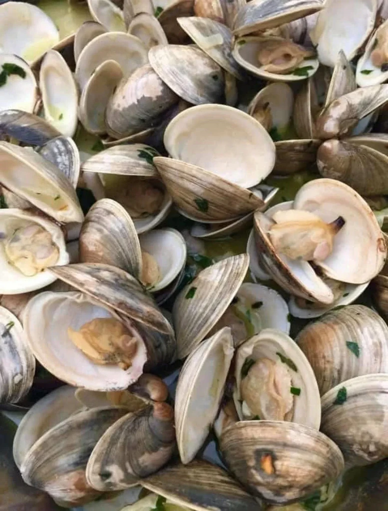 Open cooked clams or mussels in light green broth with herbs.