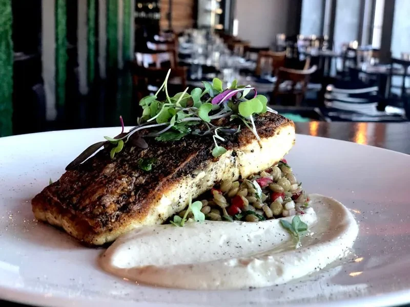 A white plate with pan-seared fish and barley in a restaurant setting.