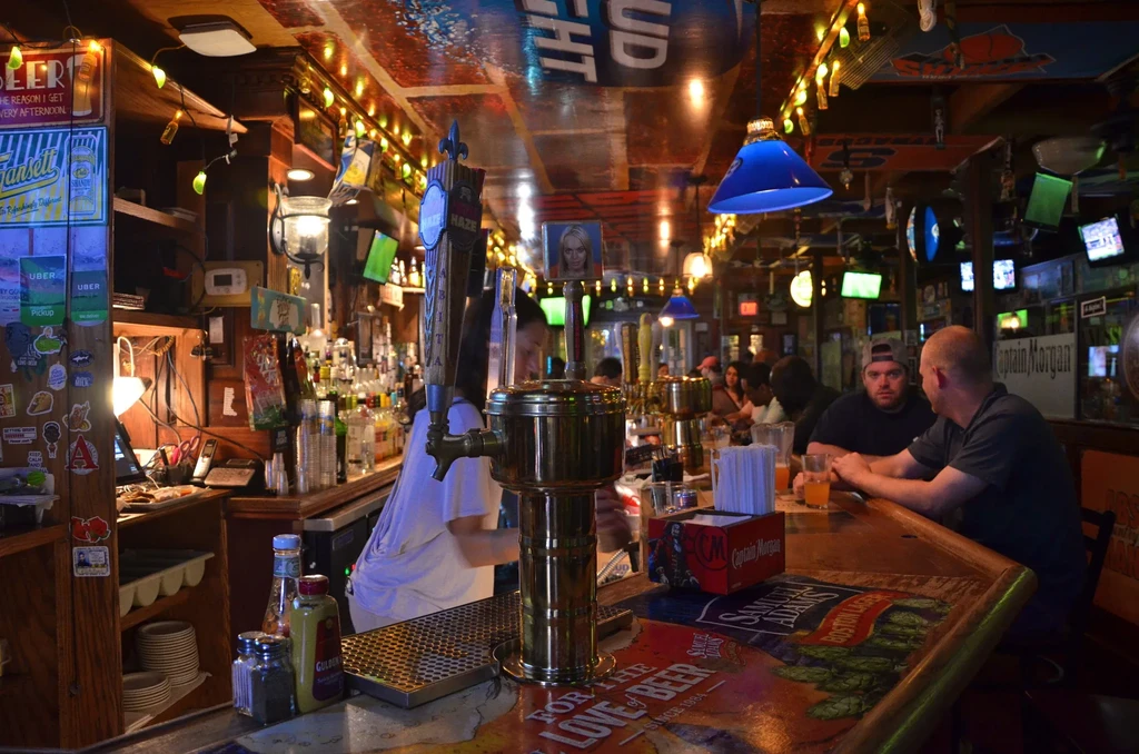 A long, cozy bar with several patrons and a bartender working.