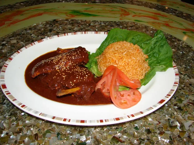 Chicken mole with rice, lettuce, and sliced tomatoes on a white plate.