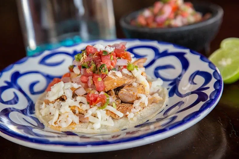 Shredded chicken and cheese tostada with salsa on a patterned plate.