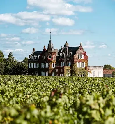 A historic, ivy-covered chateau behind a sprawling vineyard under blue sky.