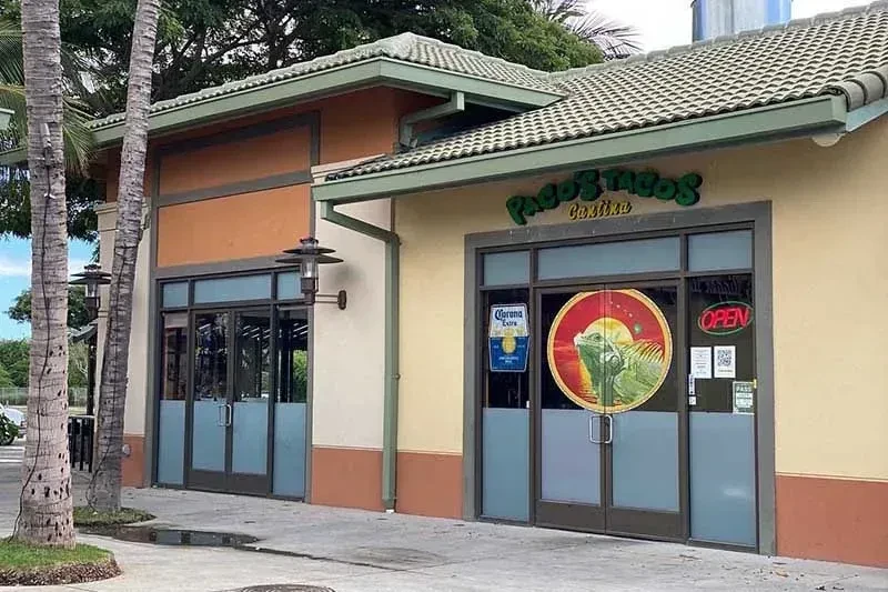 Paco's Tacos Cantina restaurant with colorful facade, green roof, and palm trees.