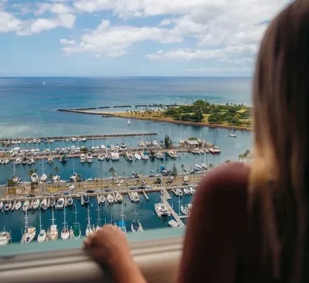 Person's back overlooks a large marina filled with sailboats and yachts.