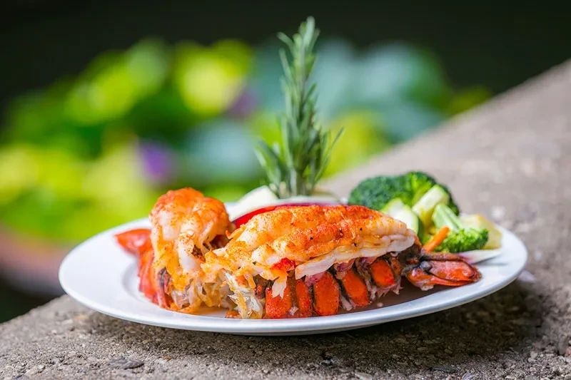 Split cooked lobster tail, rosemary, broccoli, and vegetables on a plate.