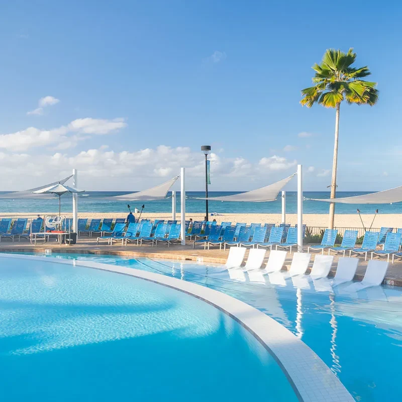Sunny resort pool, sandy beach, ocean, and palm tree.