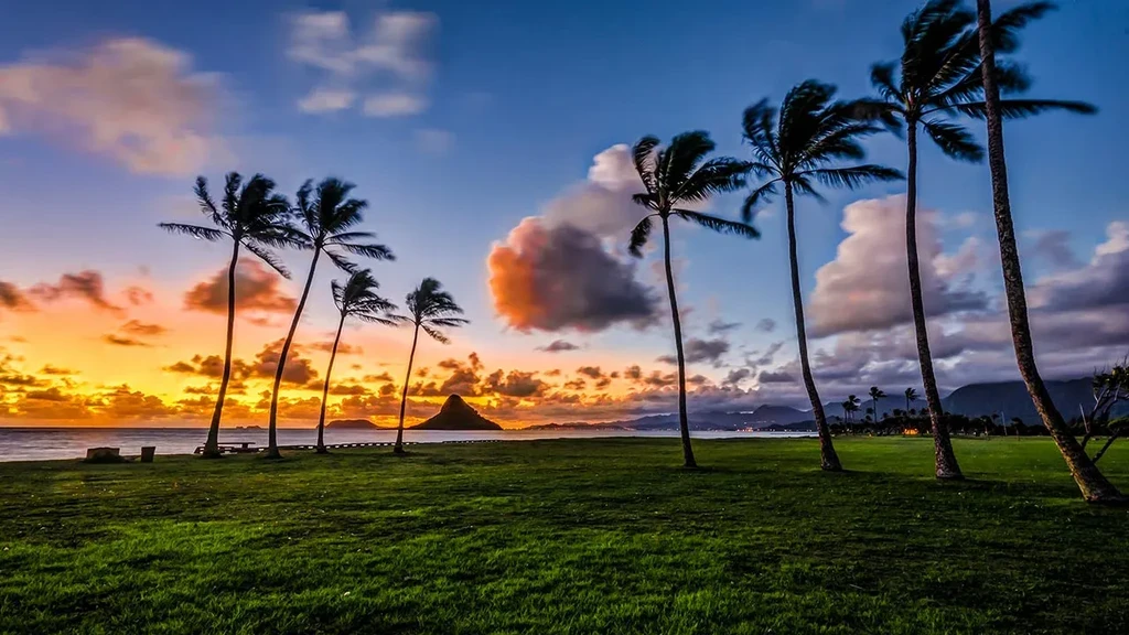 Vibrant tropical sunset with silhouetted palm trees, ocean, and pointed island.