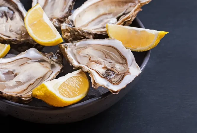 Close-up of fresh oysters on ice with lemon wedges.