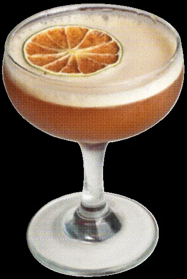 Halftone layered cocktail in coupe glass with foam and dried citrus.