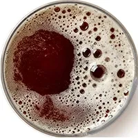 Overhead dark drink, thick foam head with a clear circular spot.