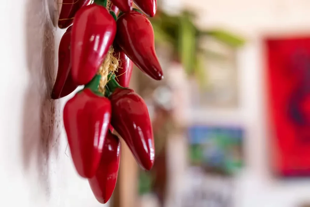 Decorative string of glossy red chili peppers hangs on a light wall.