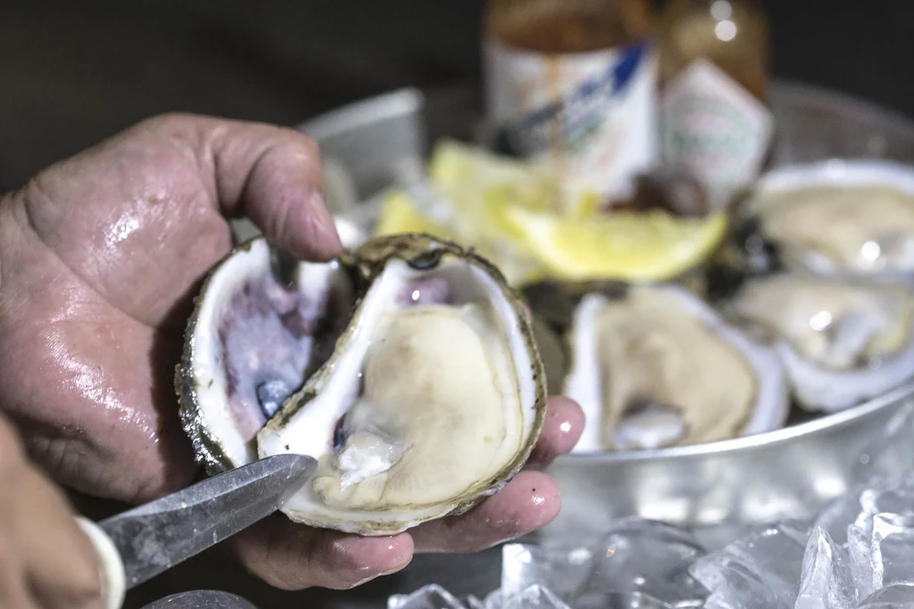 Hands shucking a plump, glistening oyster over ice.