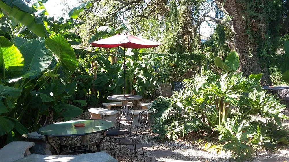 Lush outdoor dining area with tropical plants, tables, and benches.