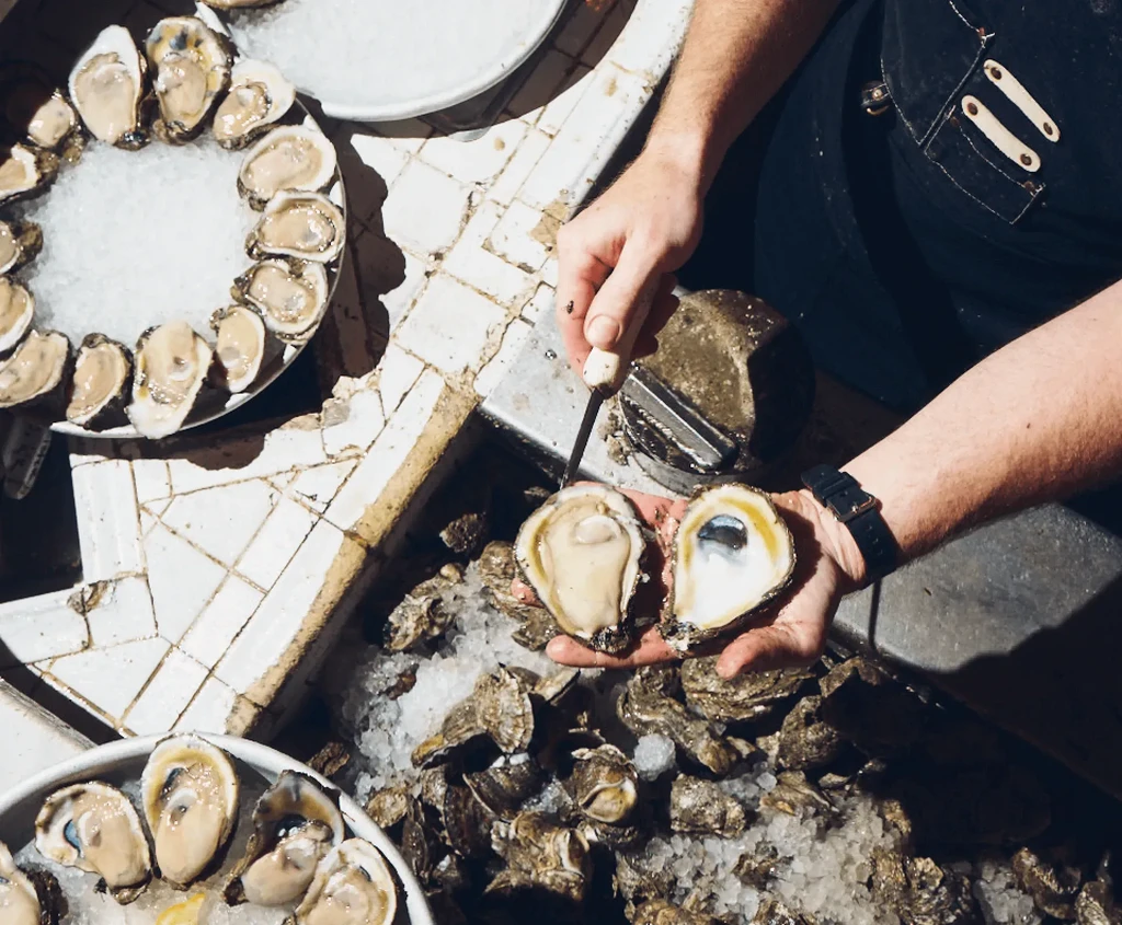 Overhead shot of hands shucking fresh oysters on ice.
