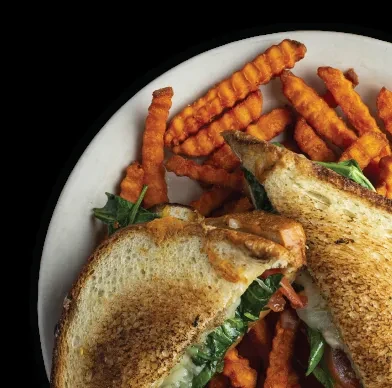 Overhead view: Grilled sandwich with cheese and greens, sweet potato fries.