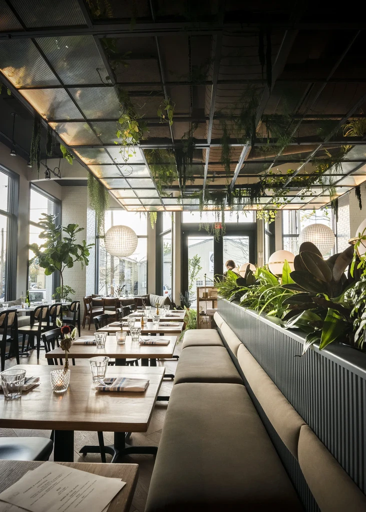 Restaurant interior with abundant natural light, hanging plants, and banquette seating.
