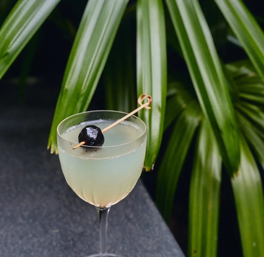 Pale green cocktail in coupe glass, garnished with cherry, tropical leaves.
