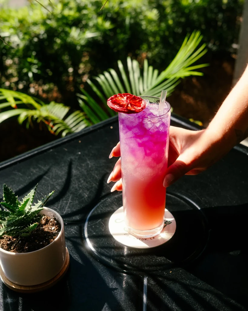 Layered purple-orange cocktail with blood orange garnish, held on a sunny patio.