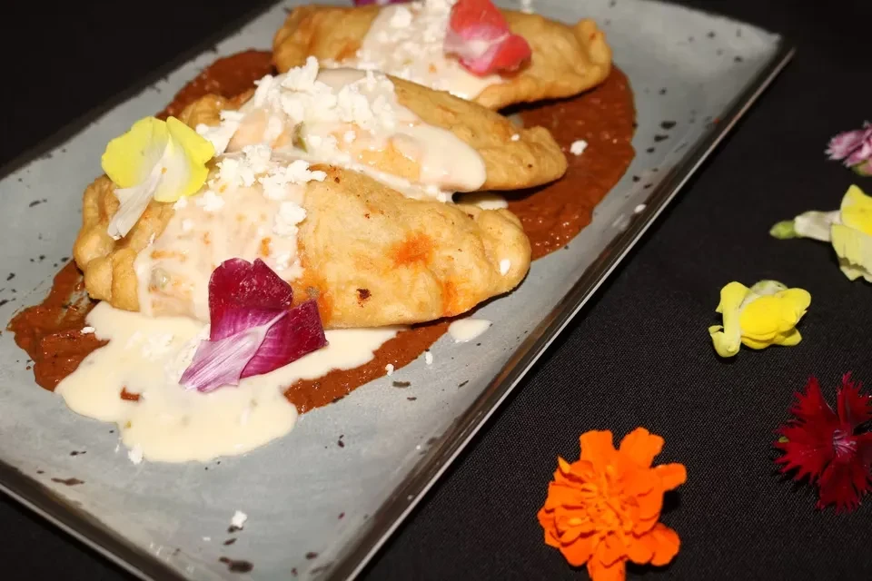 Three fried pastries with creamy sauce, cheese, and flowers on red sauce.