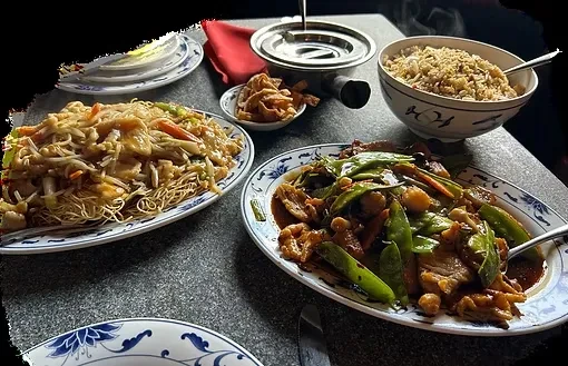 Chinese dishes: lo mein, stir-fry, fried rice, wontons, and hot pot.